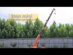 Derek perayap laba-laba mini